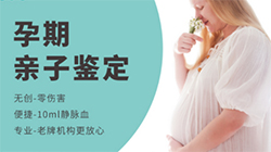 文山怀孕几个月需要怎么做产前亲子鉴定(2025年鉴定地址查询)