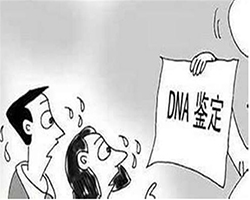 文山亲子鉴定正规的中心在哪里，文山正规DNA亲子鉴定机构收费标准